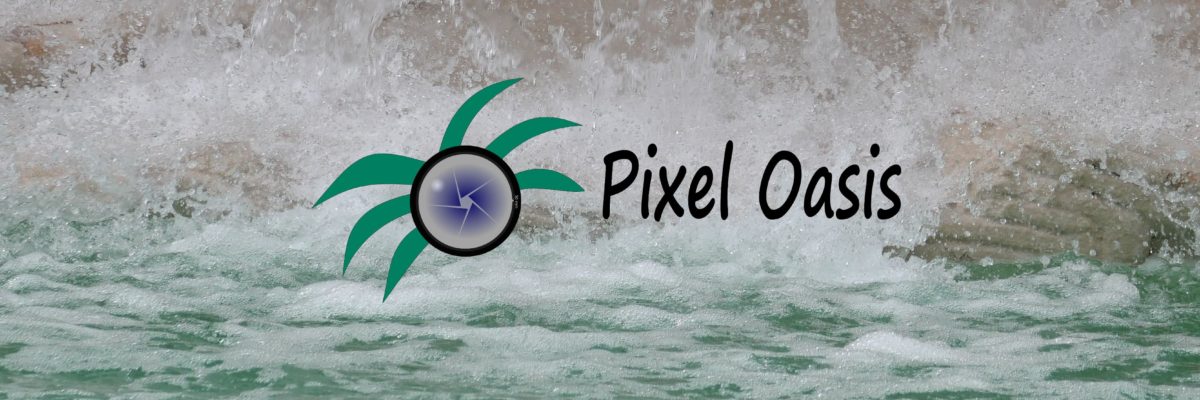 Bannière Pixel Oasis